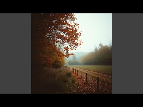 Видео: Свет в окне