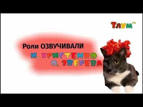 Видео: котинет на тлум HD 5.28.2024