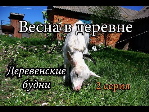 Видео: ВЕСНА В ДЕРЕВНЕ. ДЕРЕВЕНСКИЕ БУДНИ, 2 СЕРИЯ. ЖИЗНЬ В ДЕРЕВНЕ