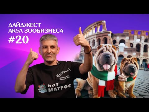 Видео: 📣ДАЙДЖЕСТ АКУЛ #20 КОГДА БУДЕТ КОРМ ДЛЯ МУЖЧИН?