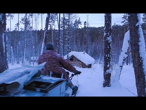 Видео: Соболь в котомку.  Лиса проверяет капканы.  Испытания техники на тягу в целине.