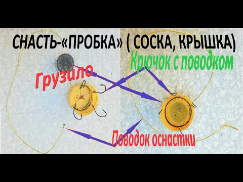 Видео: Снасть «ПРОБКА»  соска, крышка ловил карася, сазана, амура, толстолоба…