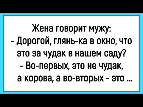 Видео: 🔥Как Жена Просила Мужа Глянуть В Окно! Сборник Смешных Анекдотов! Юмор! Настроение!
