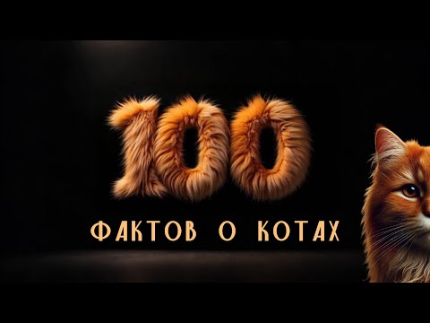 Видео: 100 фактов о котах