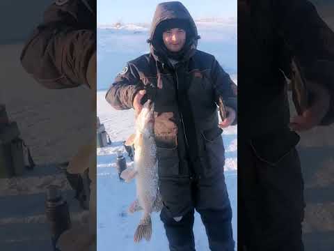 Видео: Первый лёд Есиль