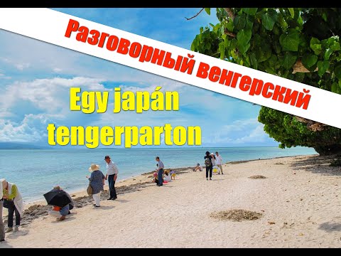 Видео: 4. Венгерский язык. На одном японском пляже. РАЗБОР ПО ПРЕДЛОЖЕНИЯМ