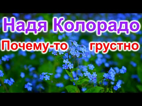 Видео: Надя Колорадо. Жаль потерянные годы. Грустно