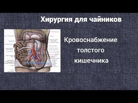 Видео: Хирургия для чайников. Кровоснабжение толстого кишечника.