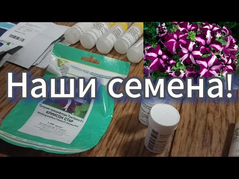 Видео: Показываем что сажаем из семян