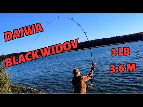 Видео: Плюси та мінуси вудилища DAIWA BLACK WIDOW.