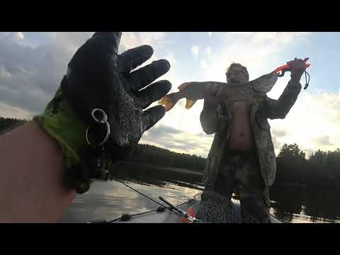 Видео: Отличная рыбалка.Друг взял трофей.#рыбак174 #рыбалка #fishing #gladiator #top