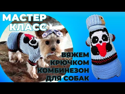 Видео: Вяжем крючком комбинезон "ПАНДА" на замке - Мастер класс, Crochet a lock-collar romper for dogs