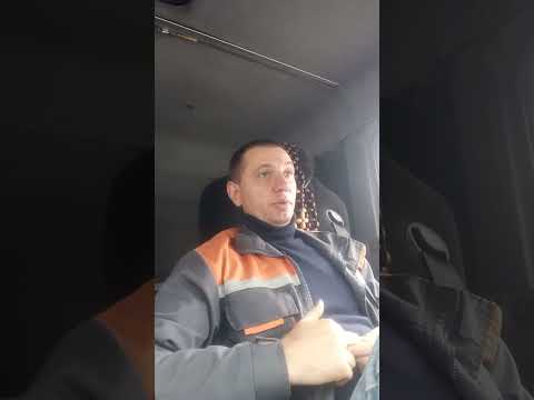 Видео: Человек в мире