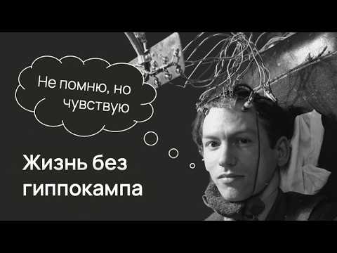 Видео: Как дофамин помогает учиться? Нейробиология мотивации