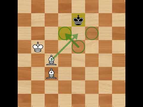 Видео: Мат двумя слонами