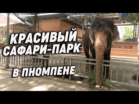Видео: Тигры Крокодилы и Слоны Сафари Парк в Пномпене Tigers Crocodiles Elephants Phnom Penh Safari Park