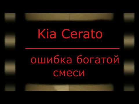 Видео: Ошибка по богатой смеси Kia Cerato