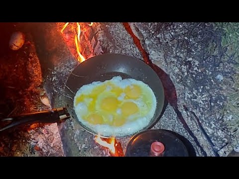 Видео: р.Сосьва 2025г