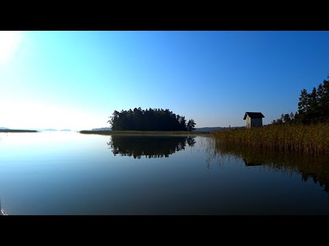Видео: Осенняя рыбалка на окуня и щуку! Buster L Лодка для троллинга и ночёвки!!!