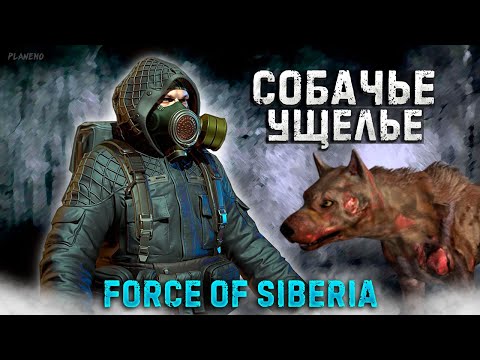 Видео: DAYZ PVE STALKER | FORCE OF SIBERIA PVE | СМОТРИМ ДАНЖ СОБАЧЬЕ УЩЕЛЬЕ #2