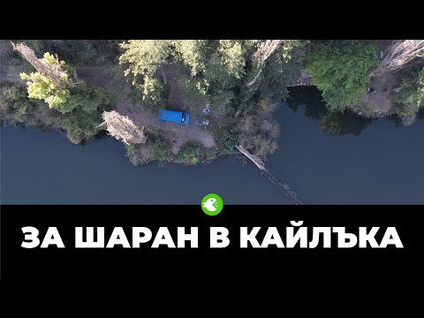 Видео: ЗА ШАРАН В КАЙЛЪКА - Есенна приказка близо до Плевен