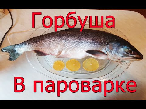 Видео: Легкий и быстрый способ приготовления рыбы в Пароварке!!!!!