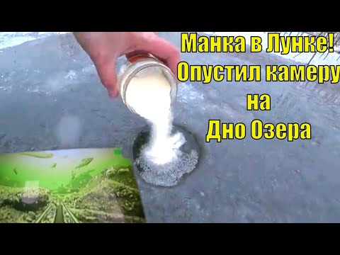 Видео: НАСЫПАЛ МАНКУ В ЛУНКУ РЫБА ЛЕТИТ СО ВСЕГО ОЗЕРА. Зимняя рыбалка открытие сезона.