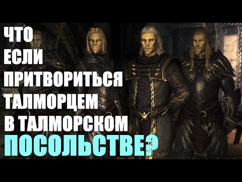 Видео: Что Будет Если Притвориться ТАЛМОРЦЕМ в Талморском Посольстве? Skyrim