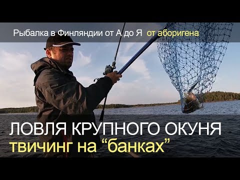 Видео: Как поймать крупного окуня? Рыбалка в Финляндии.