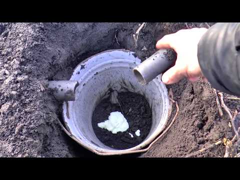Видео: как поймать крота - самый надежный способ
