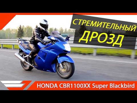 Видео: Некогда самый быстрый. HONDA CBR1100XX ТЕСТ-ДРАЙВ  от Jet00CBR