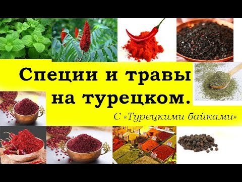 Видео: СПЕЦИИ И ТРАВЫ на турецком. Турецкий словарик.