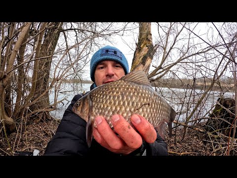 Видео: як, на що, і де ловити карася зимою