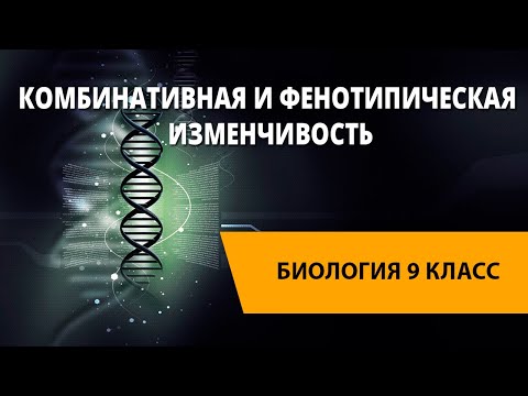 Видео: Комбинативная и фенотипическая изменчивость
