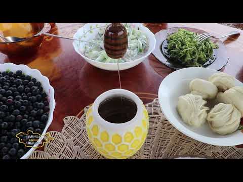 Видео: Сумандаа сайхан амьдаръя-Сэлэнгэ аймгийн Шаамар сум 43 \ 2021 \