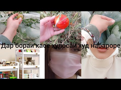 Видео: БИСЕРИХО 🥰МЕГУЯН САБАБГОРИ🥲 ЧИДОГИМО АЗ РУЙИ КАЙСИНГИЛОХАЙ И ЧИЗ САБАБШИДА 😡НАМЕТАВОНАД😩
