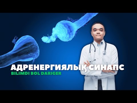 Видео: ФАРМАКОЛОГИЯ 6 САБАҚ І АДРЕНЕРГИЯЛЫҚ СИНАПС МЕХАНИЗМІ