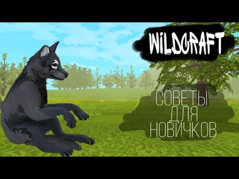 Видео: WildCraft / Советы для новичков / Tips for beginners