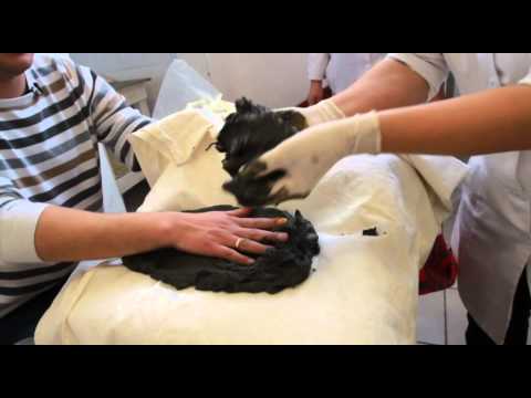 Видео: Большие города. Сарыагаш