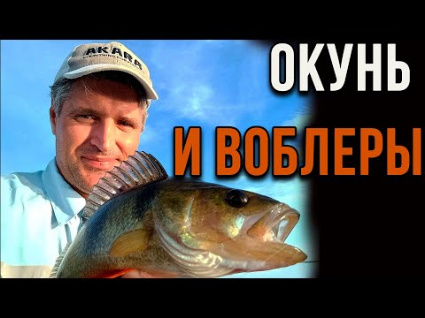 Видео: Окунь и воблеры, правильный выбор.