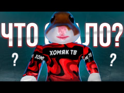 Видео: КУДА ПРОПАЛ ХОМЯК В РОБЛОКСЕ?