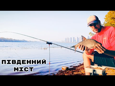 Видео: Осінній ЛЯЩ 🎣🐟 Рибалка в Києві 🔱 Осокорки ⚠️ #fishing #риболовля #рибалка