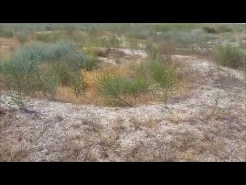 Видео: Проверяем углубления в земле с помощью металлоискателя! Смотрим что удалось найти!