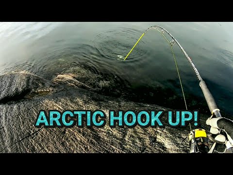 Видео: Приключенческая рыбалка в арктической Норвегии!