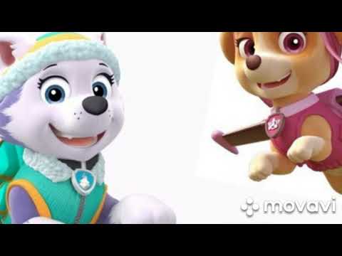 Видео: Скай и Эверест лучшие подруги