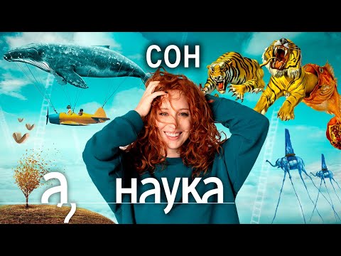 Видео: Мозг во время сна. Кошмары.  Самый удобный матрас // Наука. А поговорить?