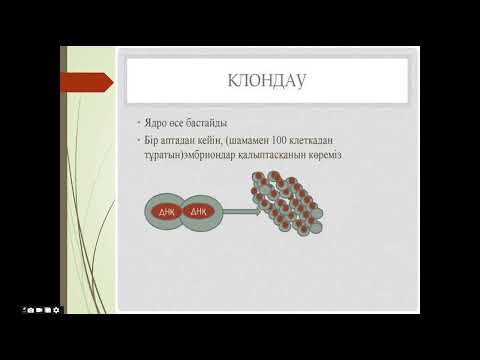 Видео: 6 дәріс 5 бөлім Генетикалық трансформация және жануарларды клондау