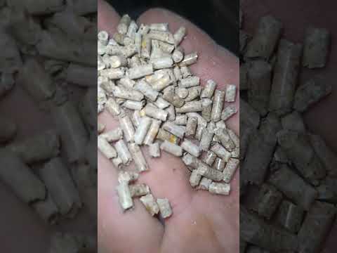 Видео: Первый пуск матрицы ф125 на цельном зерне