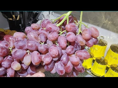 Видео: РИЗАМАТ ОТА🍇🍇🍇🍇🍇🍇🍇🍇