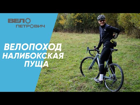 Видео: Налибокская пуща на велосипеде: дикие звери и красота